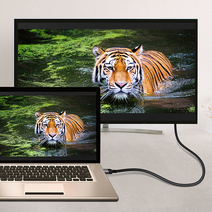 Qoltec USB-C-auf-HDMI-Adapterkabel 50438 | 2m | 60Hz | 32AWG
