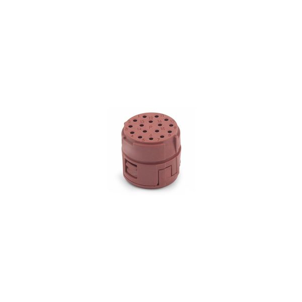 LAPP EPIC® SIGNAL M23 16P (20) – 73002701